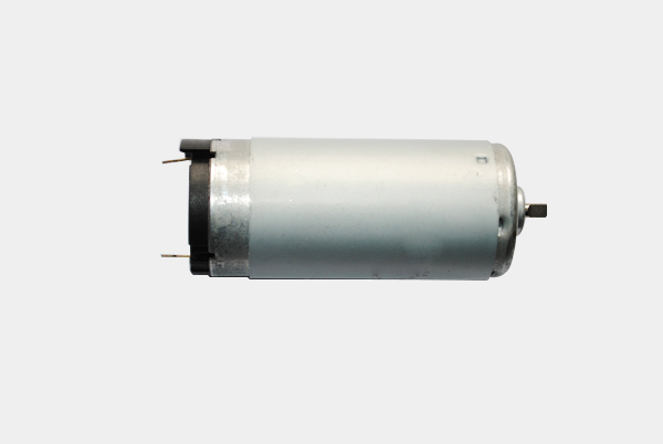 RS597Dc motor